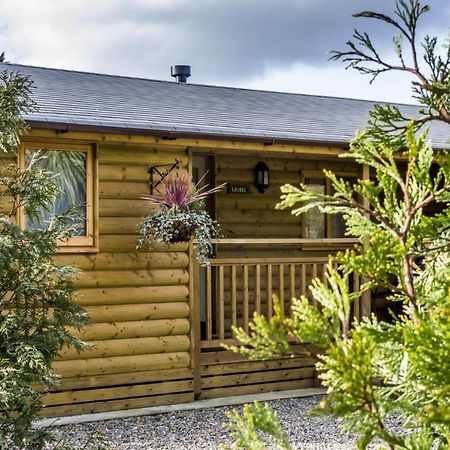 Laurel Lodge - 2 Bedroom Log Cabin - St Florence Saint Florence Экстерьер фото