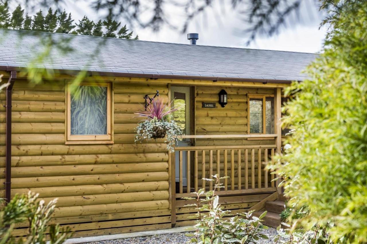 Laurel Lodge - 2 Bedroom Log Cabin - St Florence Saint Florence Экстерьер фото